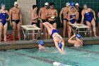 Swimming vs Babson  Wheaton College Swimming vs Babson College. - Photo By: KEITH NORDSTROM : Wheaton, Swimming, Babson